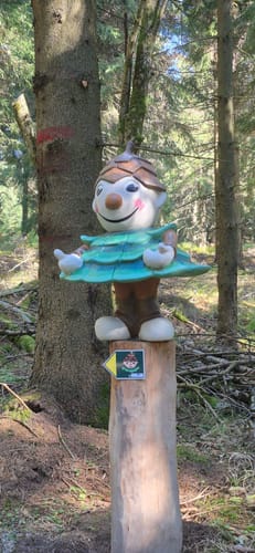 Kammweg Erzgebirge-Vogtland Etappe 8: Bärenstein - Oberwiesenthal