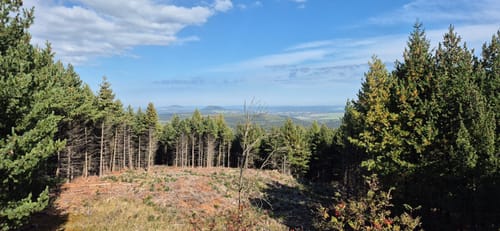 Kammweg Erzgebirge-Vogtland Etappe 8: Bärenstein - Oberwiesenthal