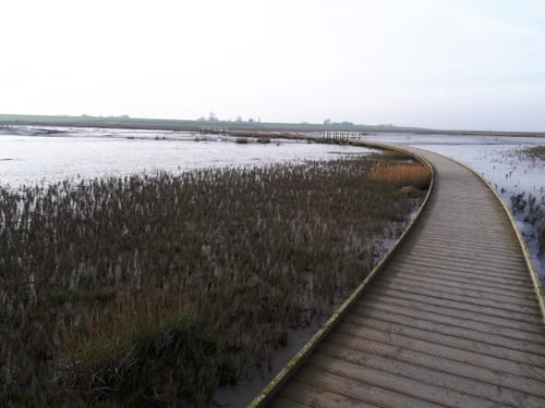 Langwarder Groden