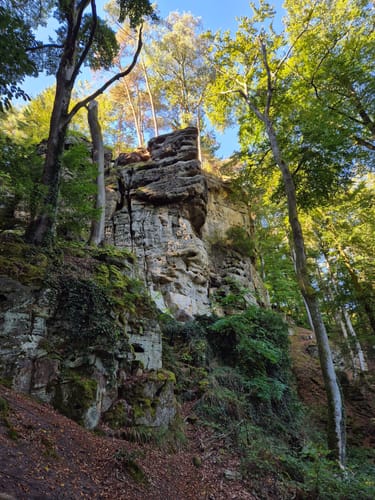 Teufelsschlucht (Naturpark Südeifel Wanderweg Nr. 54)
