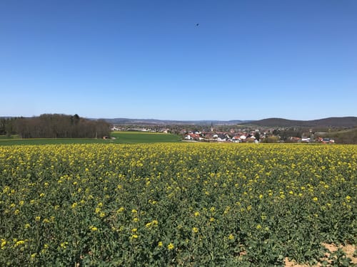 Von Freigericht rund um Neuses