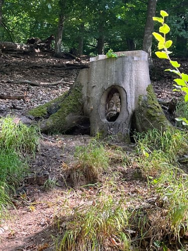 Geheimnisvoller Lemberg (Vitaltour)