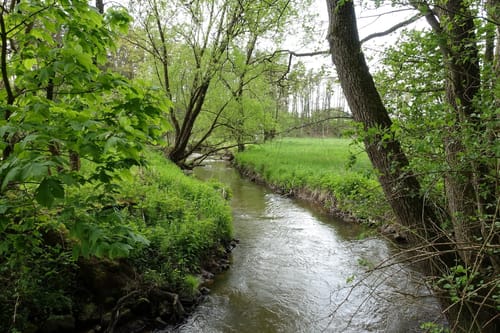 Rundwanderweg Aurachtal