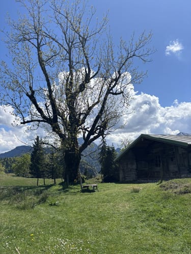 Walchenklamm zur Hochalm