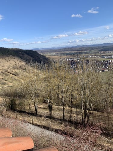 Wurmlinger Kapellenwegle (Premiumspazierwanderweg)