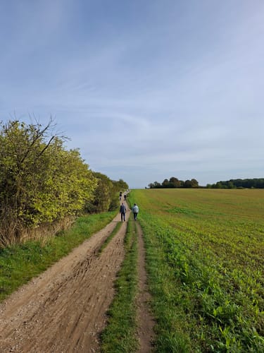Von Niendorf nach Travemünde (Brodtener Steilufer)