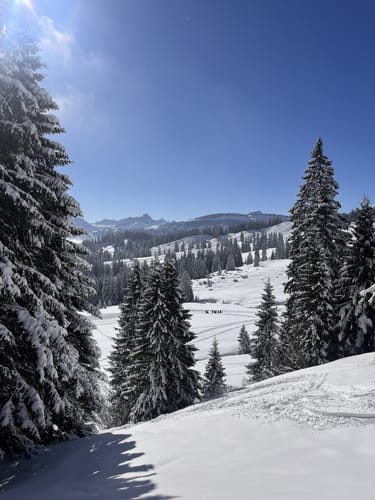 Riedberger Horn und Wannenkopf