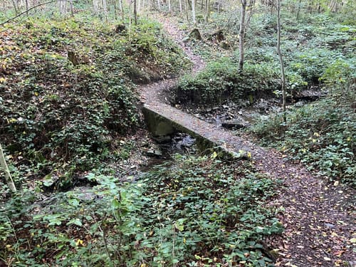 Rundwanderung Heinerscheid - Tintesmühle