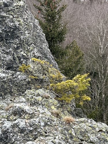 Rund um Ruitzof [CLOSED]