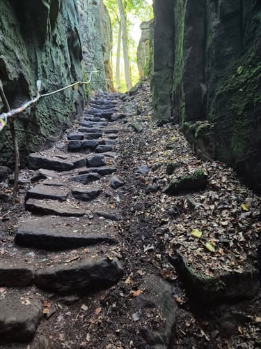 Teufelsschlucht (Naturpark Südeifel Wanderweg Nr. 54)