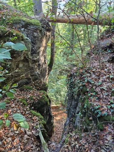 Teufelsschlucht (Naturpark Südeifel Wanderweg Nr. 54)