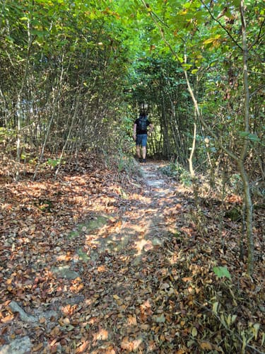 Teufelsschlucht (Naturpark Südeifel Wanderweg Nr. 54)