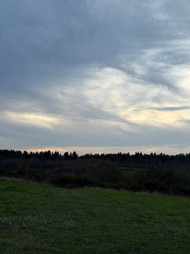 Wildnistrail Etappe 2: Einruhr - Gemünd