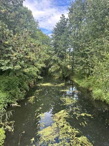 Um die Wuhlheide