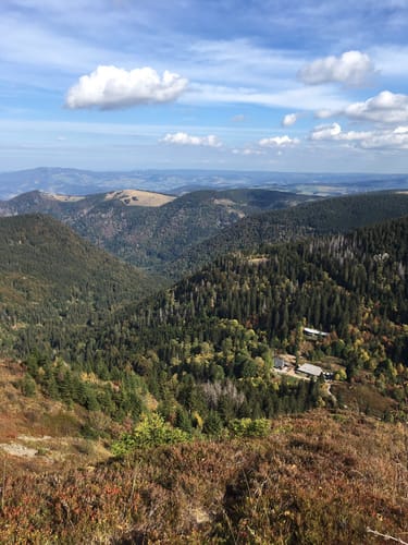 Feldbergsteig (Genießerpfad)
