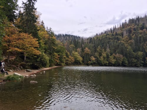 Feldbergsteig (Genießerpfad)