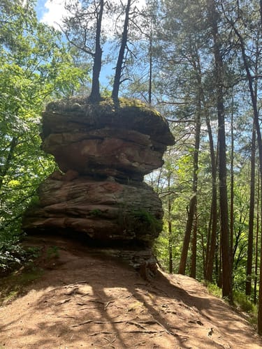 Dahner Felsenpfad (Premiumwanderweg)