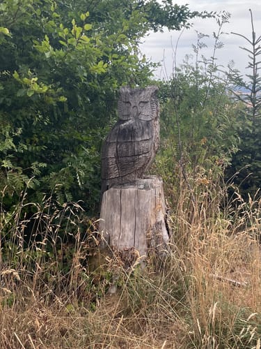 Sandplacken: Klingenkopf & Roßkopf