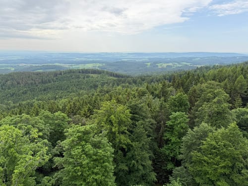Trettmanns - Ruine Weißenstein - Platte - Köhlerlohe [CLOSED]