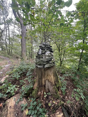 Kaisertempel - Rossert - Burg Eppstein