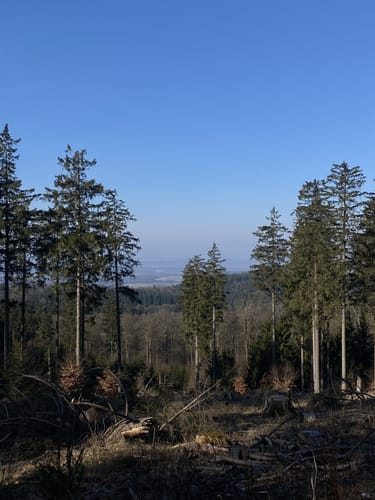 Großen Feldberg