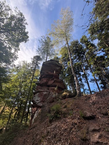 4-Burgen-Tour Notweiler