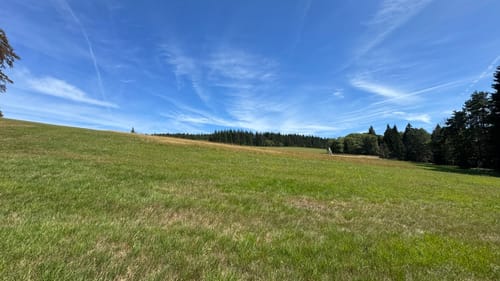 Neualbenreuth: Auf stillen Waldpfaden zur Grenze