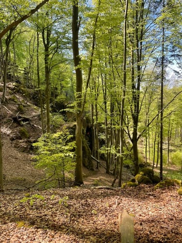 Höhenglücksteig