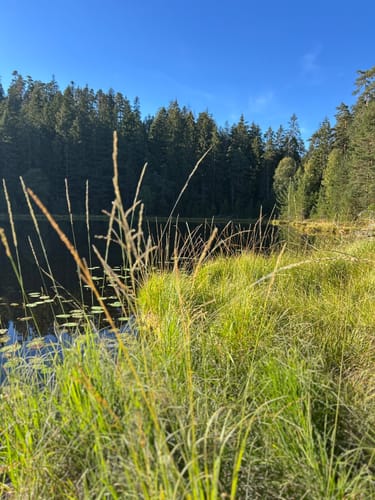 Schwarzenbachtalsperre zur Badener Höhe