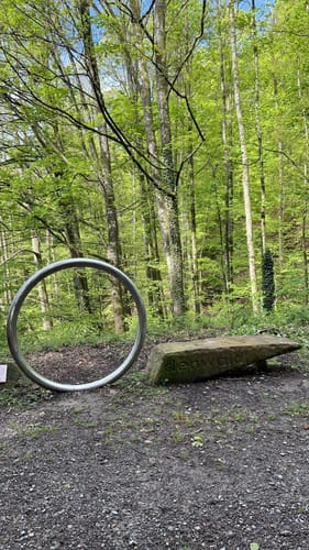 Neckarsteig Etappe 3: Neckarsteinach - Hirschhorn