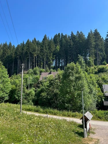 Der Ravennaschlucht Weg