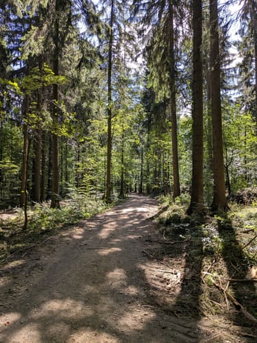 Im Schwarzwassertal