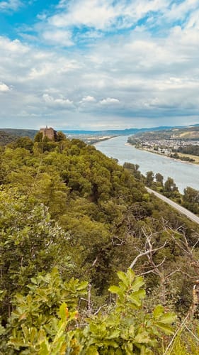 Rheinecker Felsenweg 8