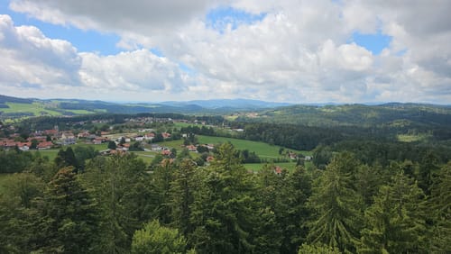 Baumwipfelpfad und Tier-Freigelände im Nationalpark Bayerischer Wald
