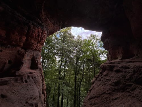 Auf der Bausch -  Ramsteiner Schweiz