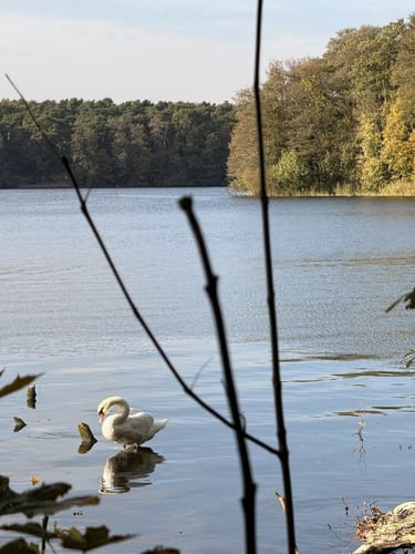 Flakensee
