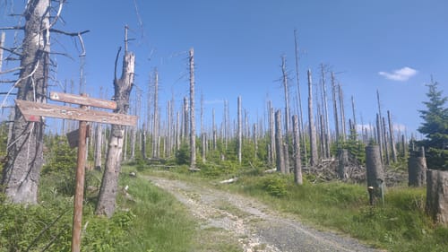 Heinrich-Heine-Weg - Brocken - Ilsenburg