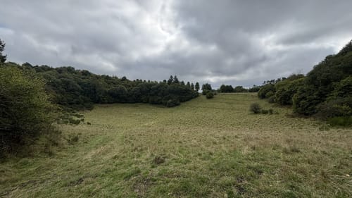 Gerolsteiner Felsenpfad (Vulkaneifel-Pfade)