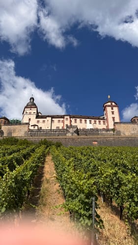 Würzburg - Marienberg - Steinbachtal