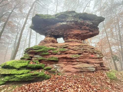 Dimbacher Buntsandstein Höhenweg (Premiumwanderweg)