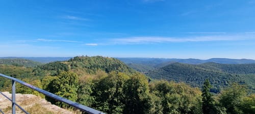 7 Burgentour - Pfälzer Wald/Nordvogesen