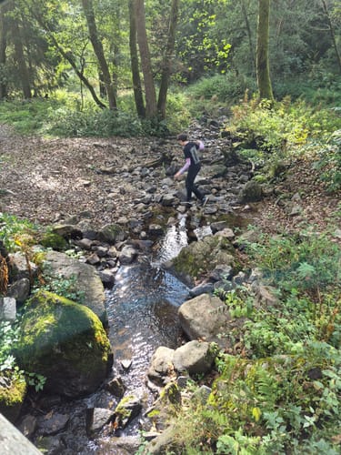 Haßlachschlucht ab Schützenhaus Kappeln