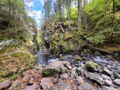 Haßlachschlucht ab Schützenhaus Kappeln