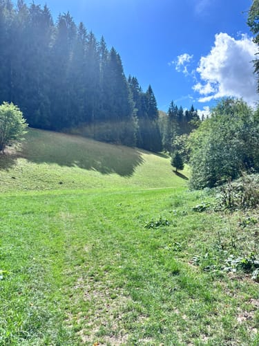 Löwenpfad Filsursprung-Runde