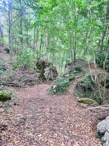 Löwenpfad Filsursprung-Runde