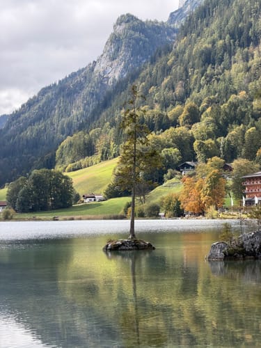 Hintersee und Zauberwald