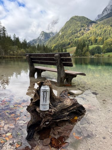 Hintersee und Zauberwald