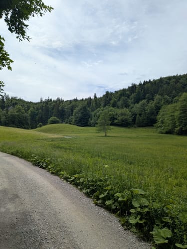 Falkenstein - Rehleitenkopf
