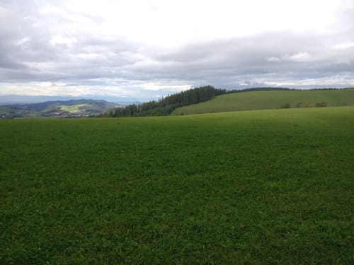 Panoramaweg: St. Märgen - St. Peter