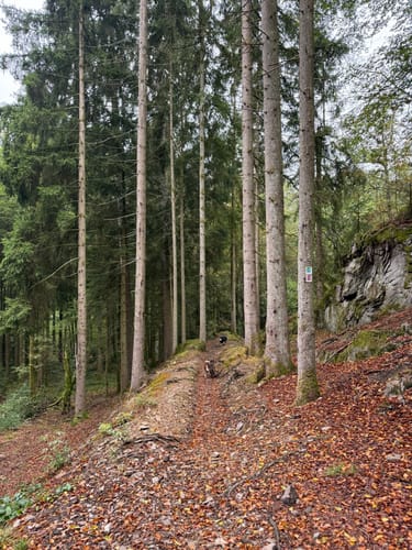 Felsenweg (Traumschleife)